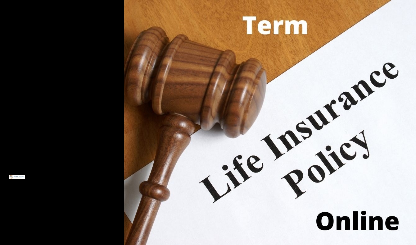 aig term life insurance